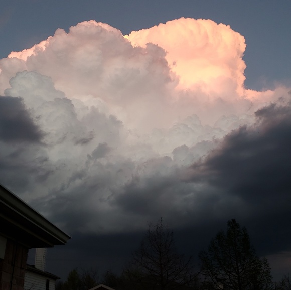 Meet your Posher, Susan - Picture 2 of 8